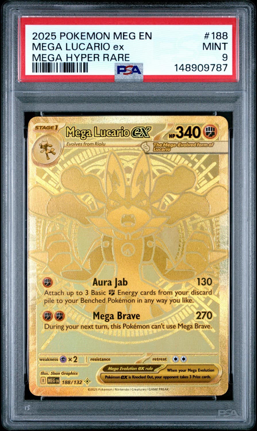 Mega Lucario Ex