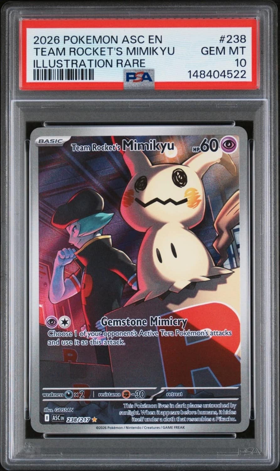 Team Rocket'S Mimikyu