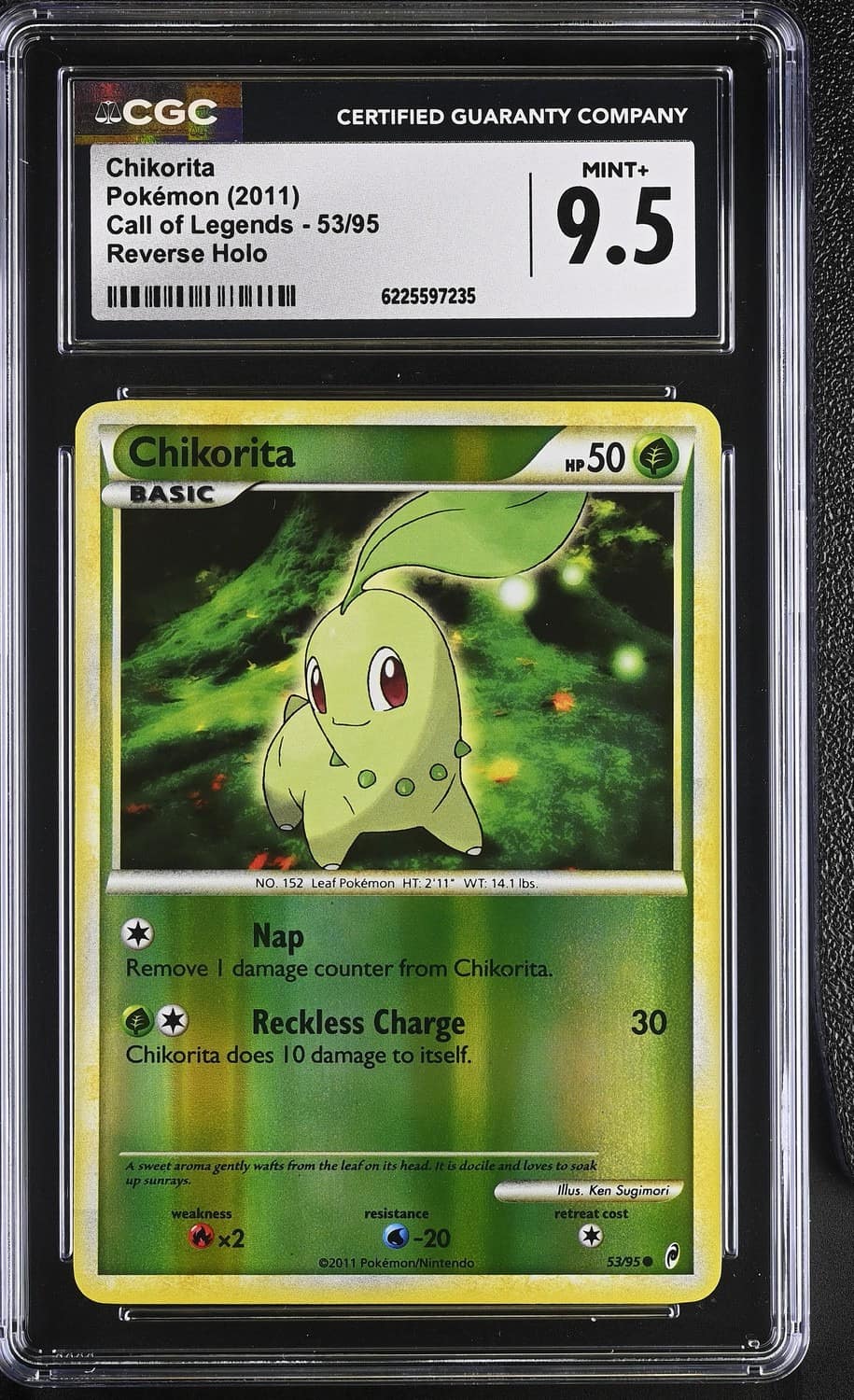 Chikorita