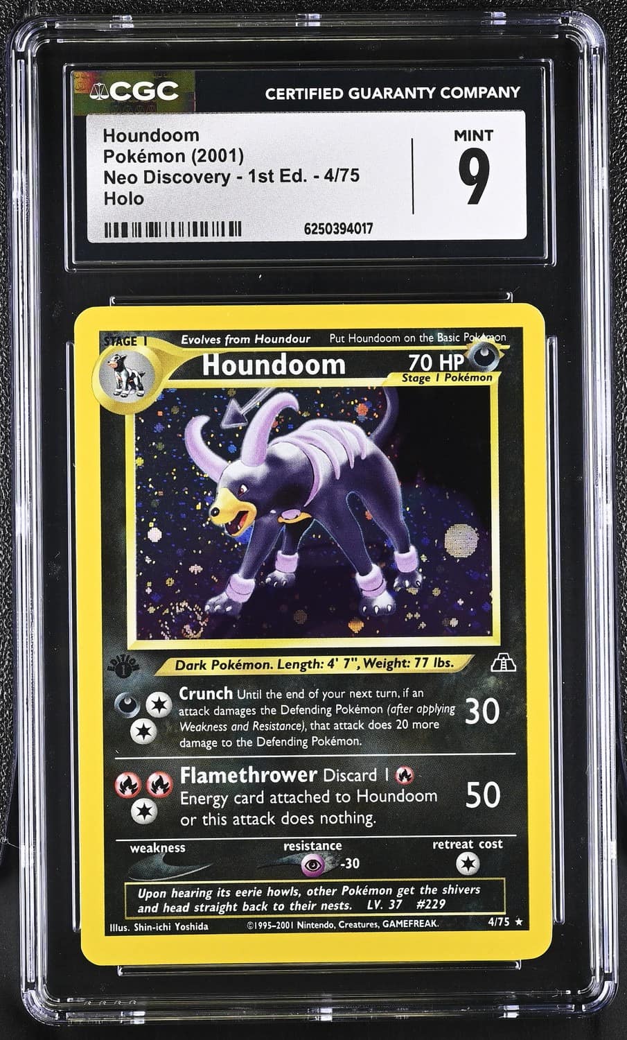 Houndoom