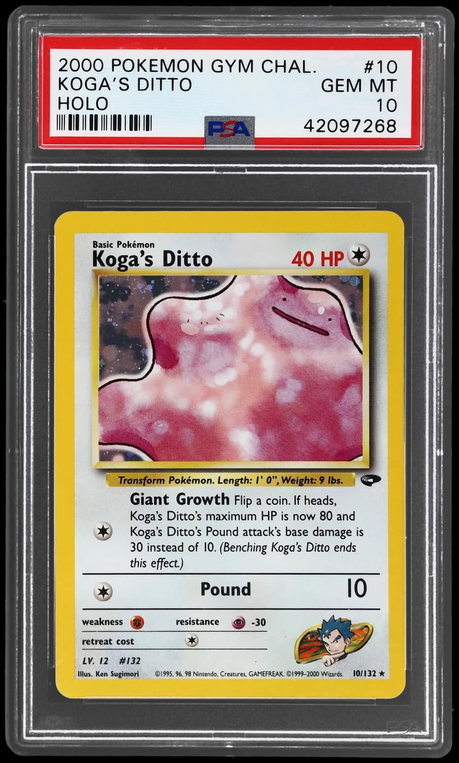 Koga'S Ditto