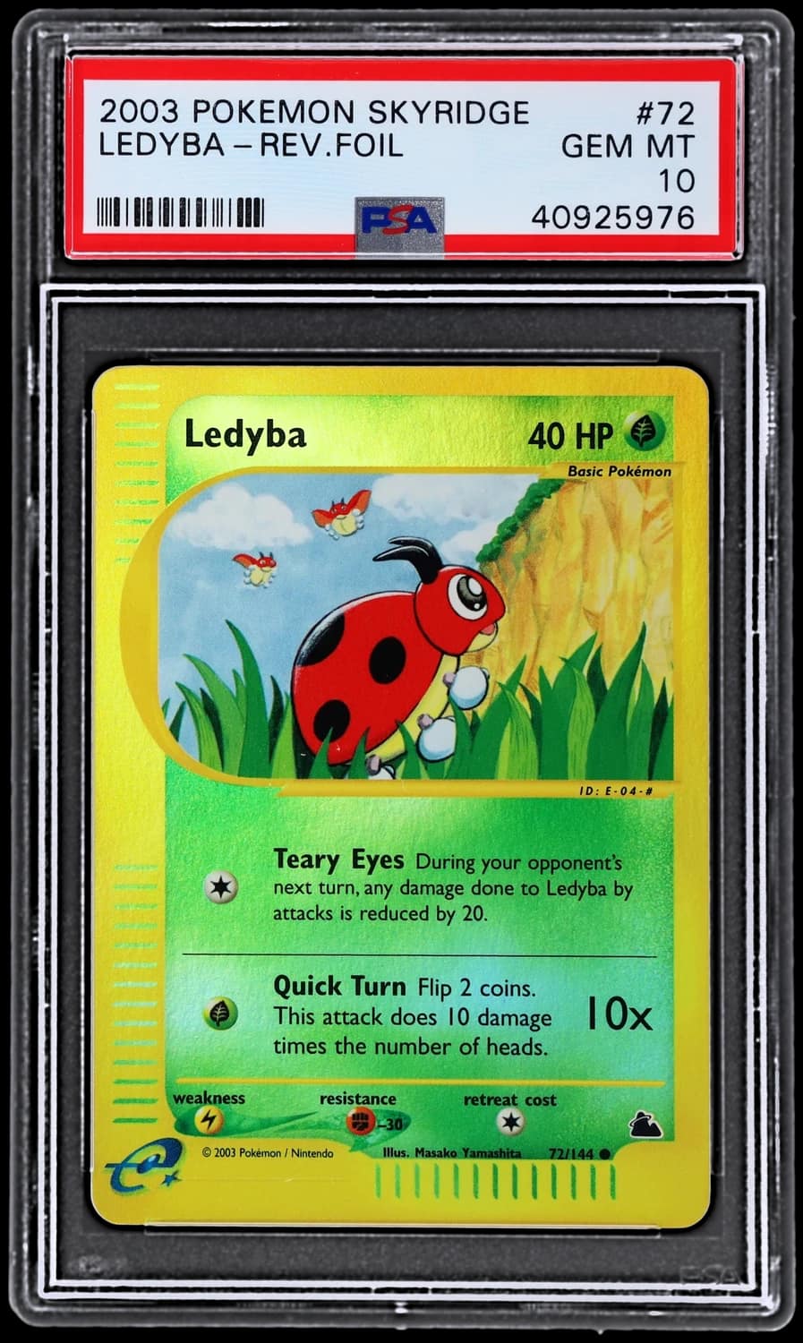 Ledyba