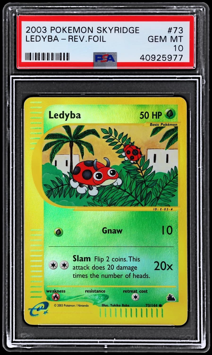 Ledyba