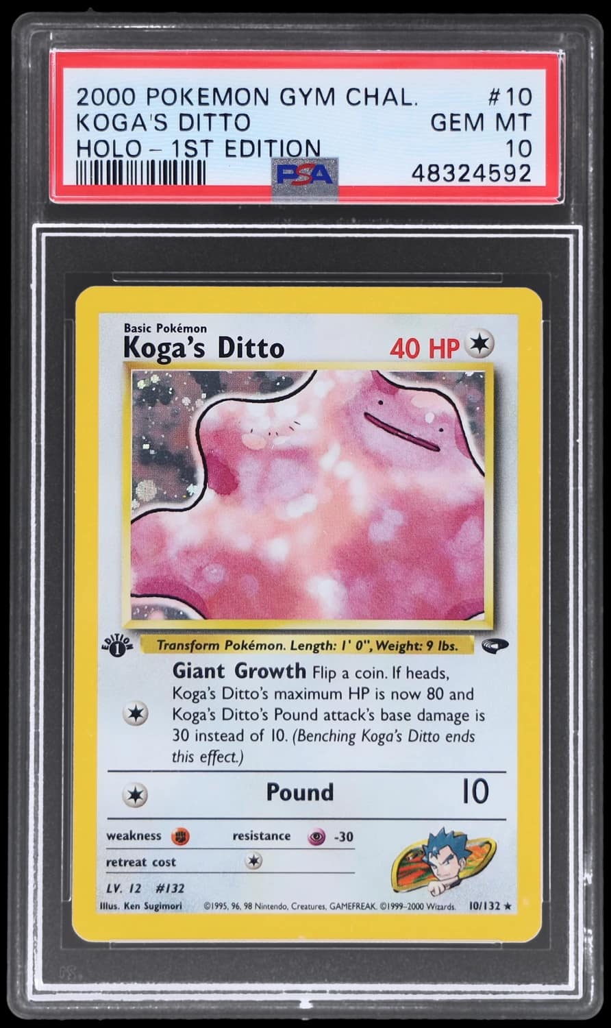 Koga'S Ditto