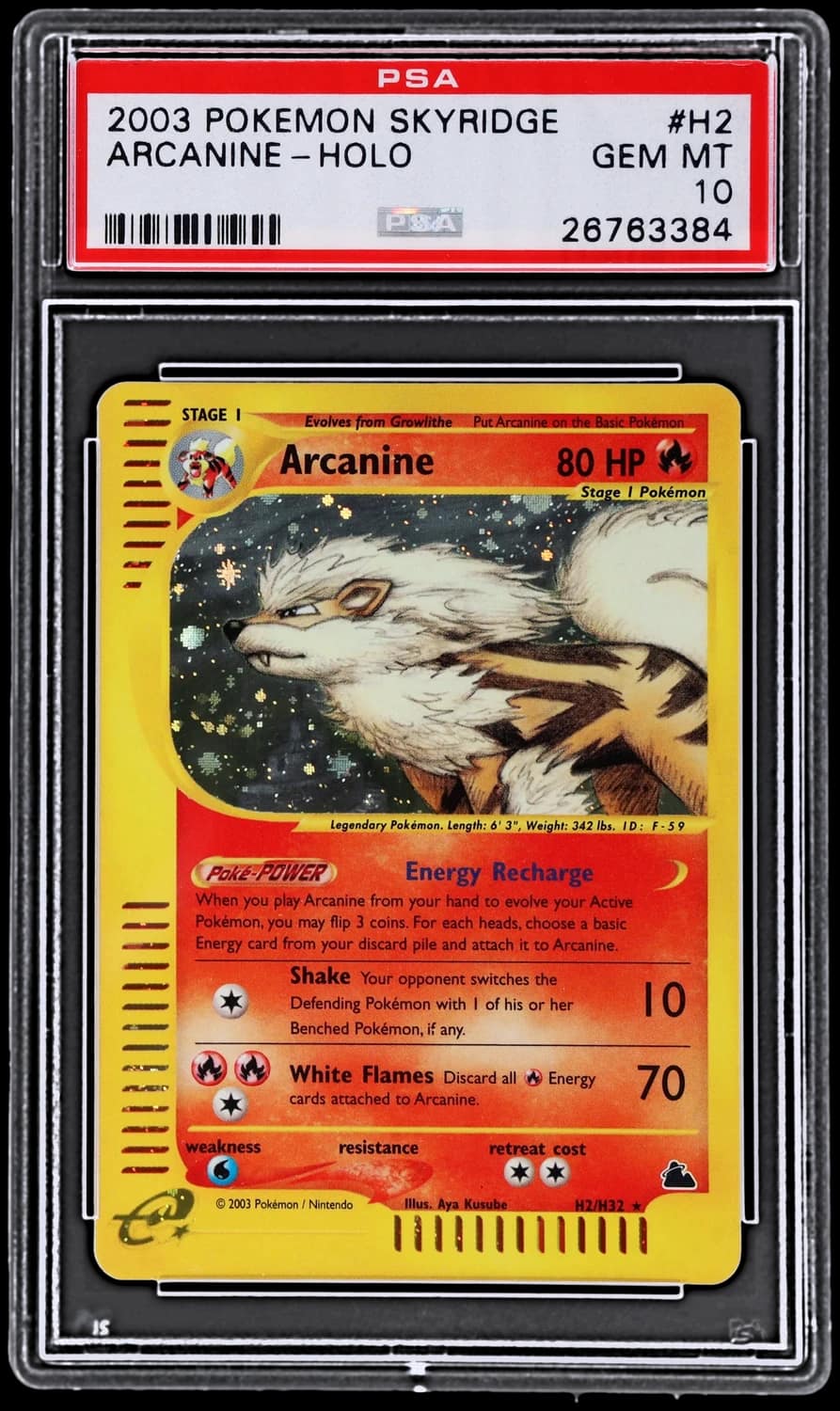 Arcanine