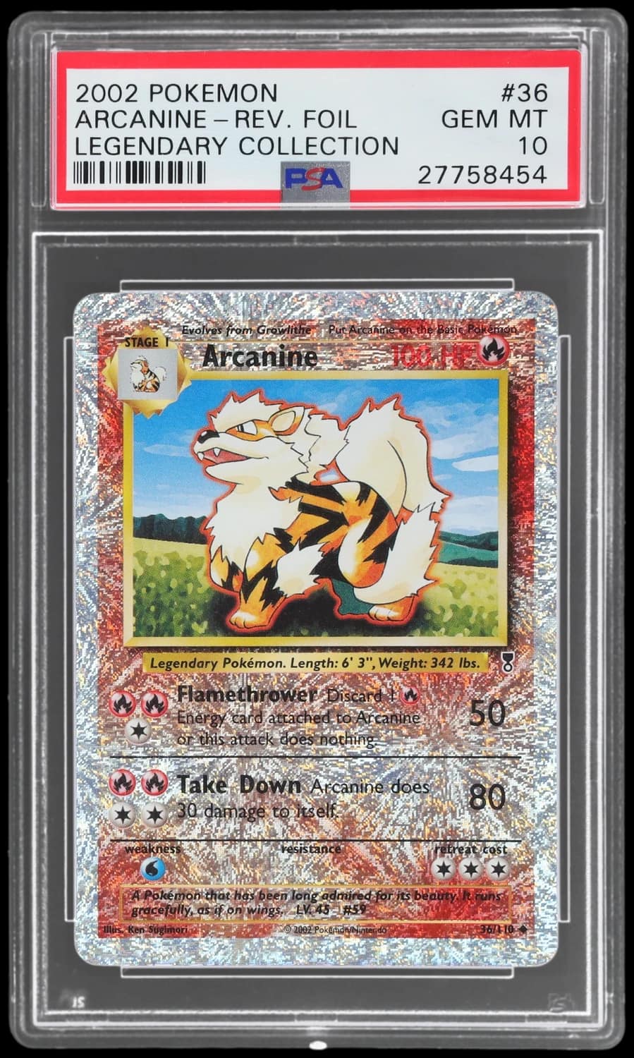 Arcanine