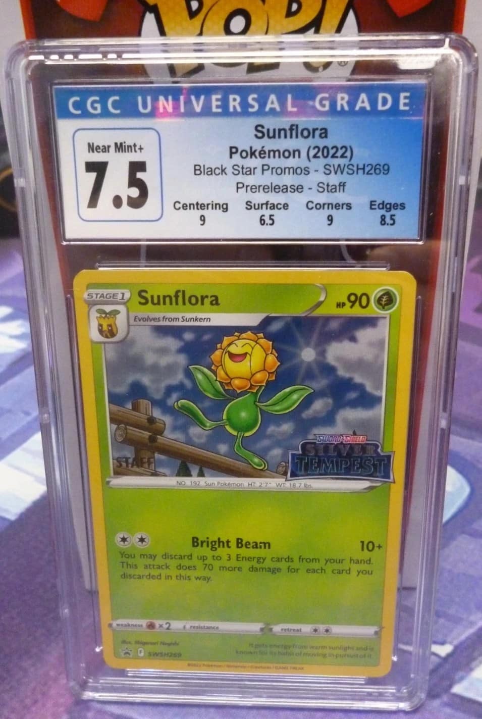 Sunflora