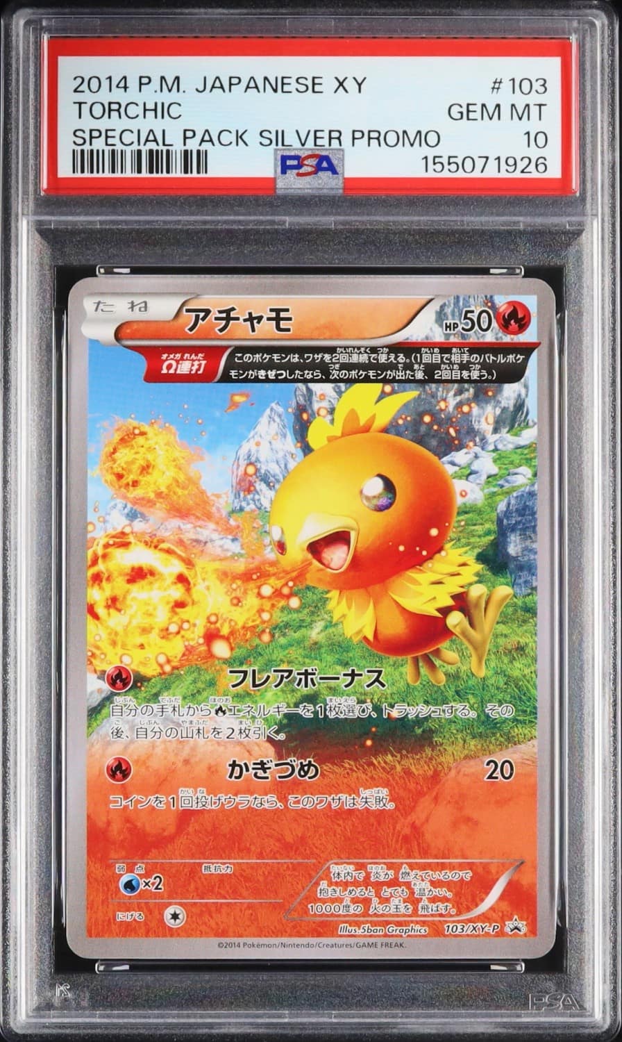 Torchic
