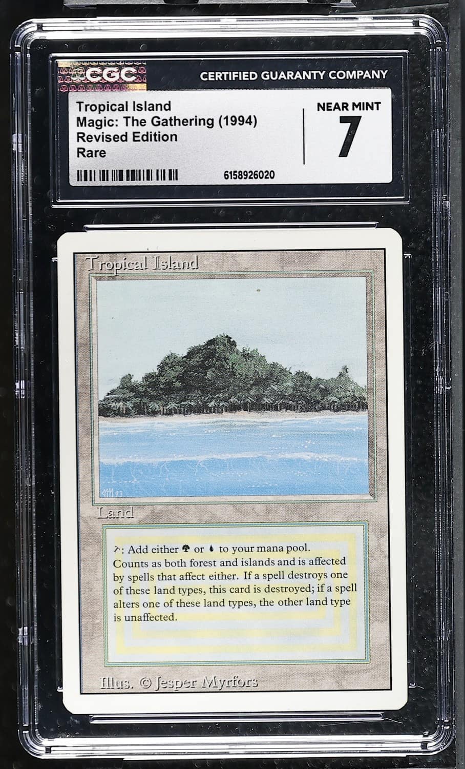 Tropical Island