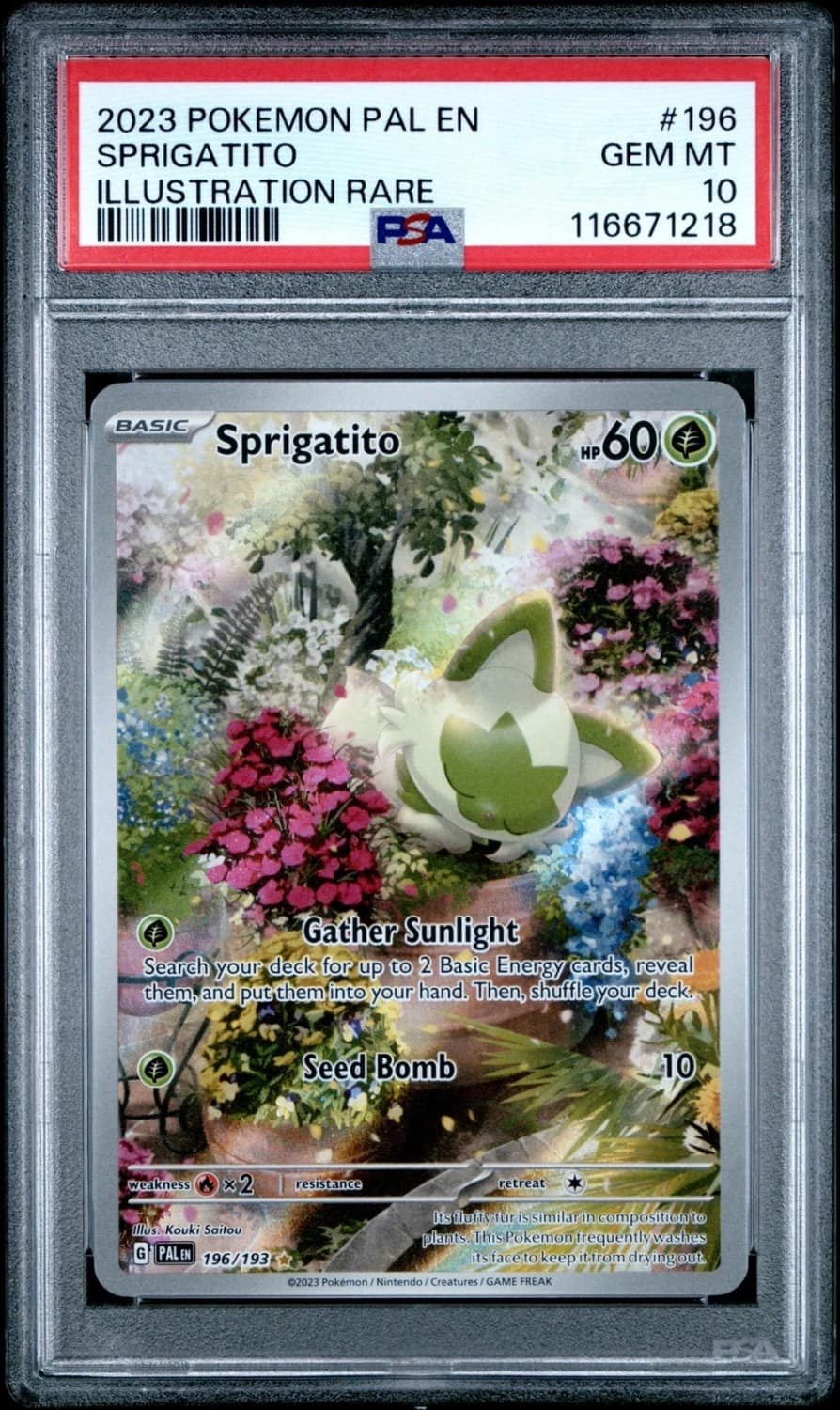 Sprigatito