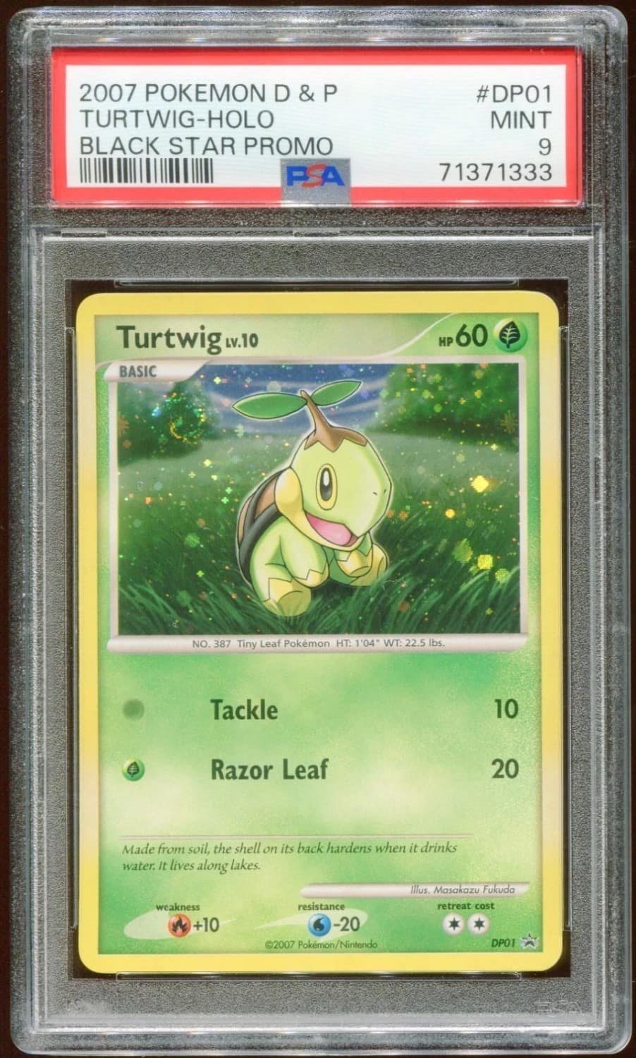 Turtwig