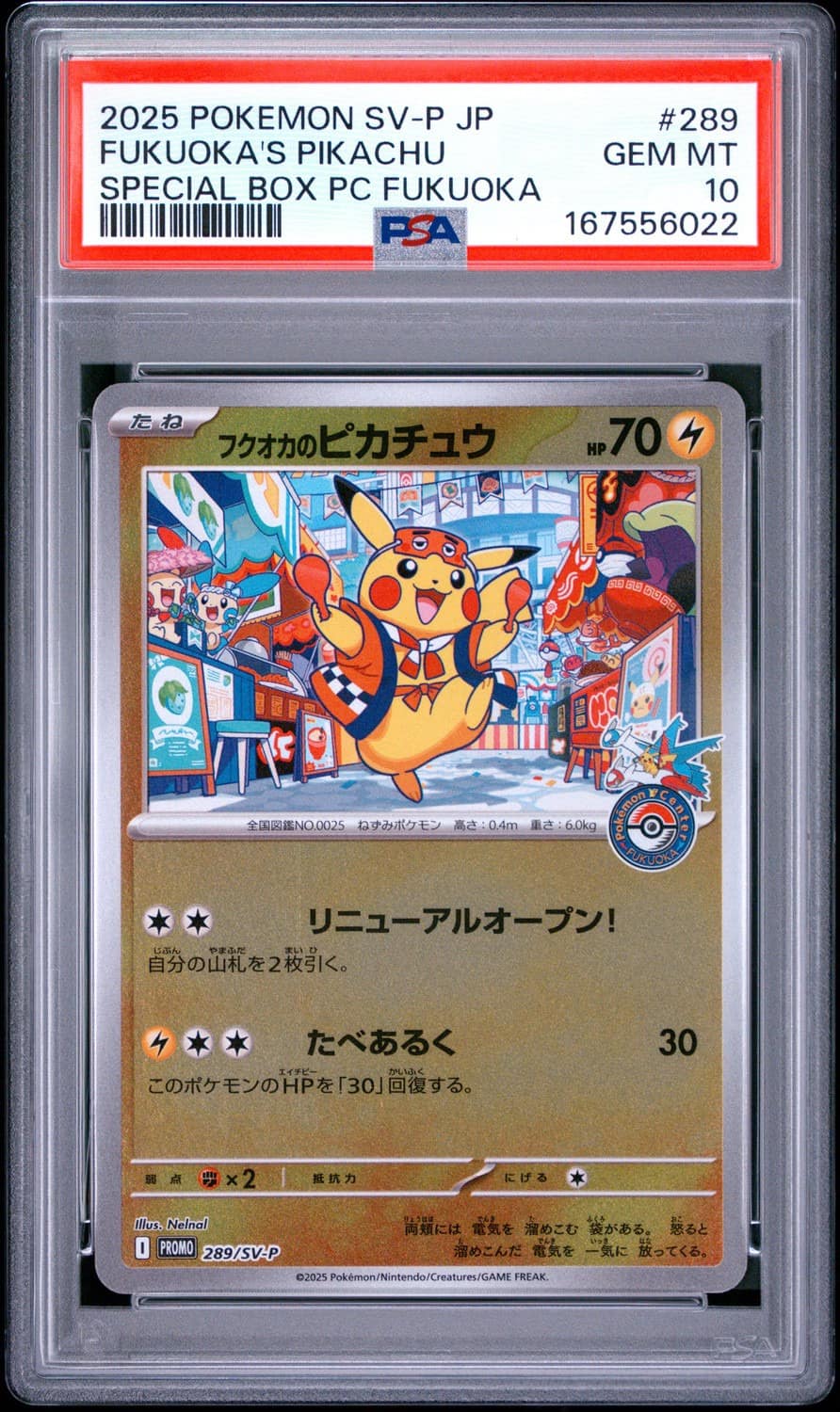 Fukuoka'S Pikachu