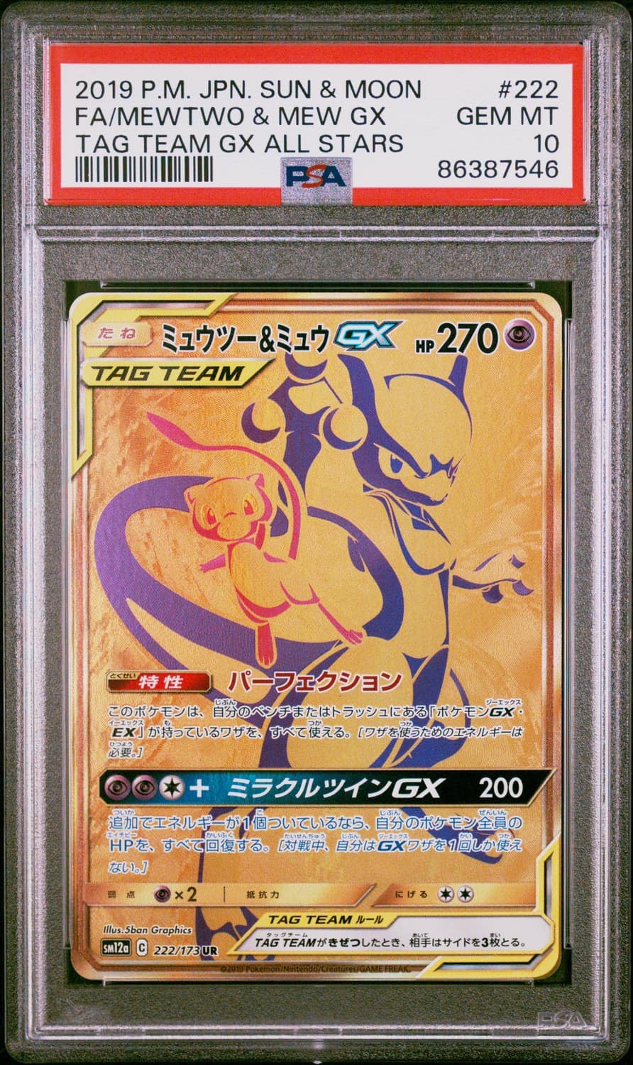 Mewtwo & Mew Gx