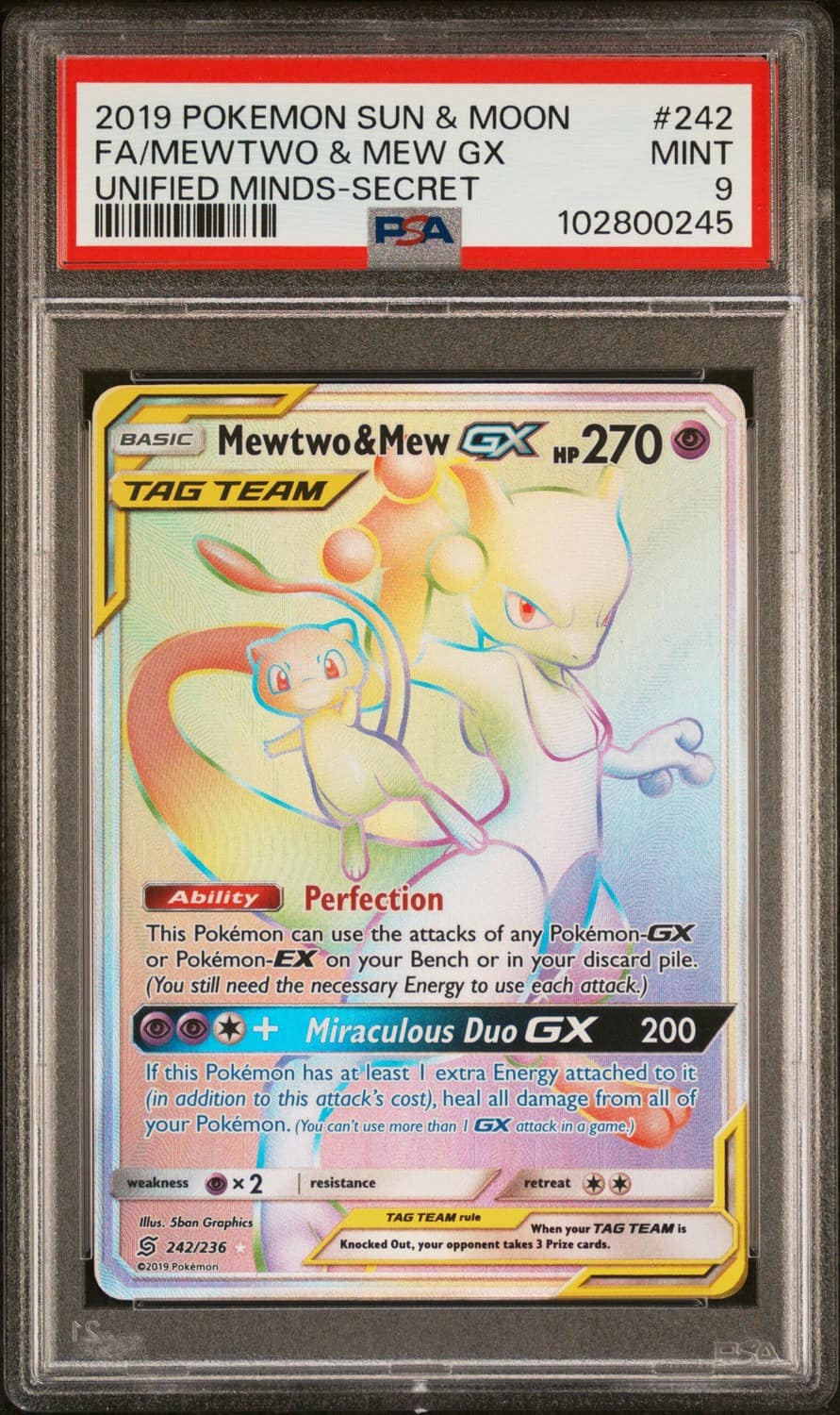 Mewtwo & Mew Gx