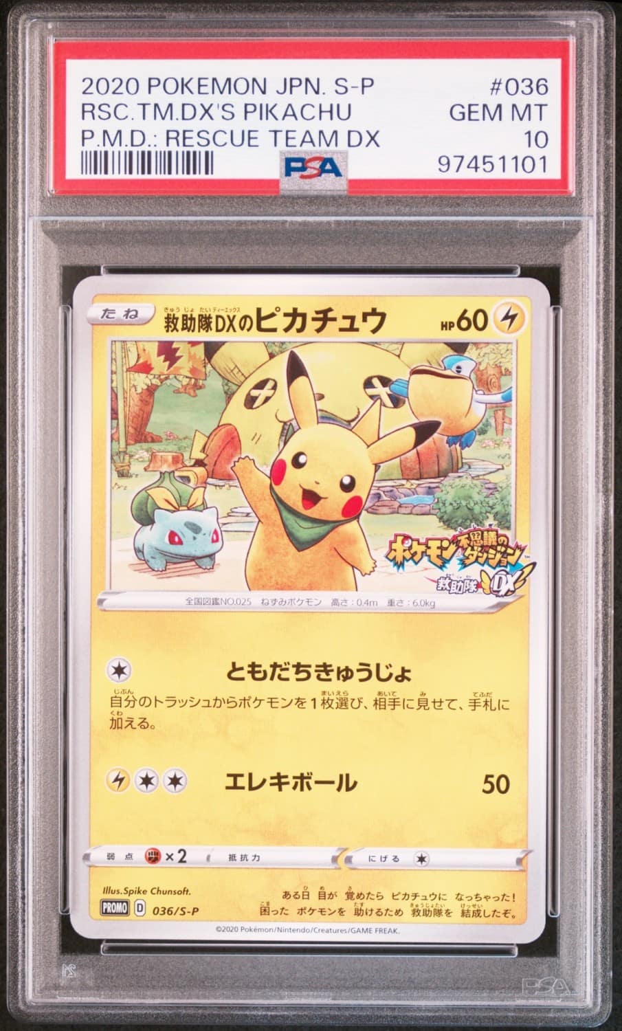 Rescue Team Dx'S Pikachu