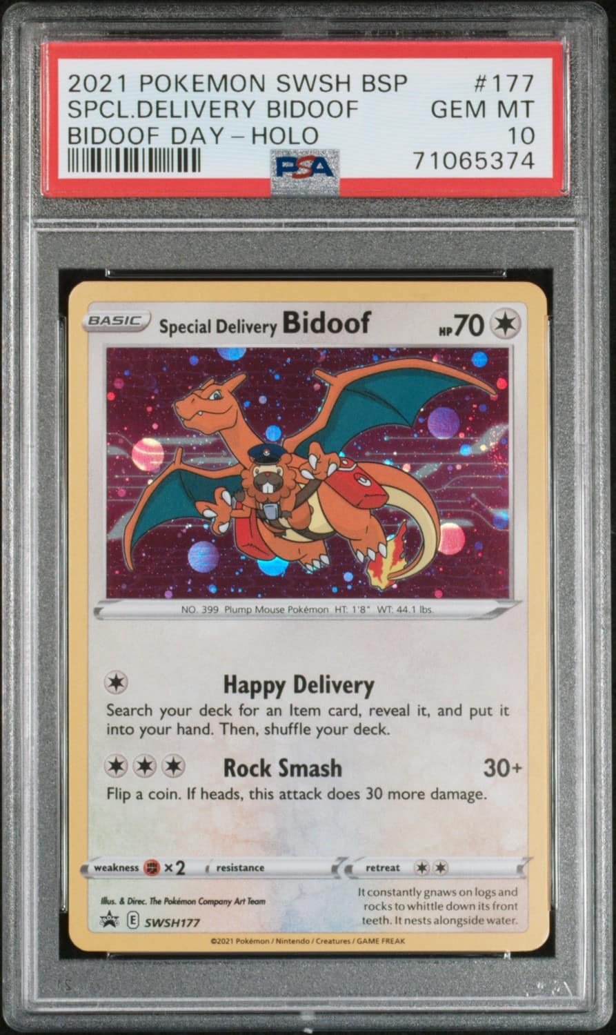 Special Delivery Bidoof