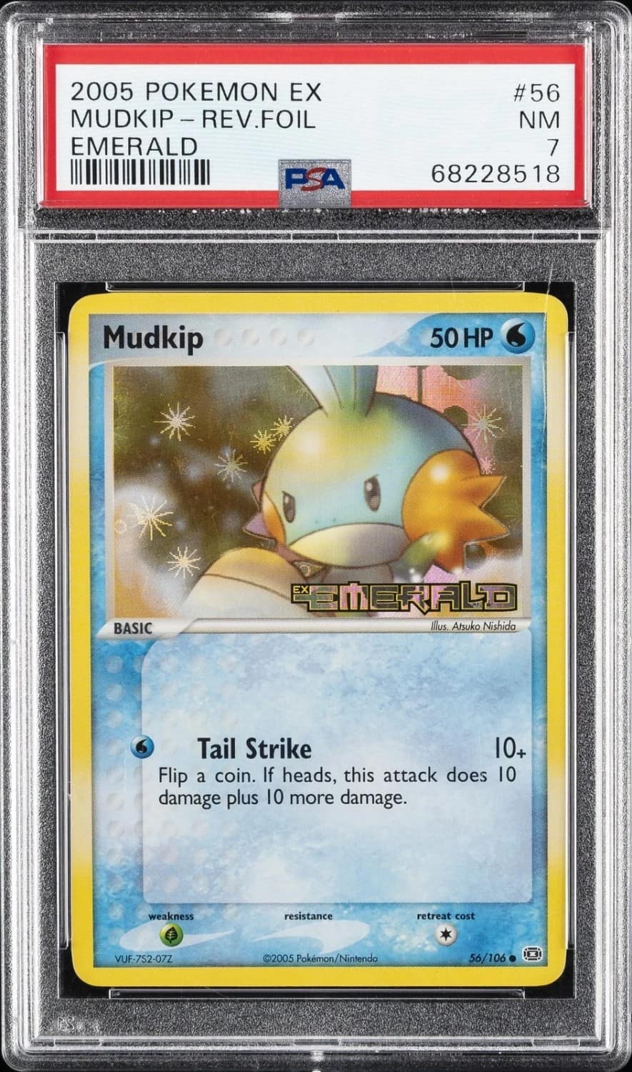 Mudkip