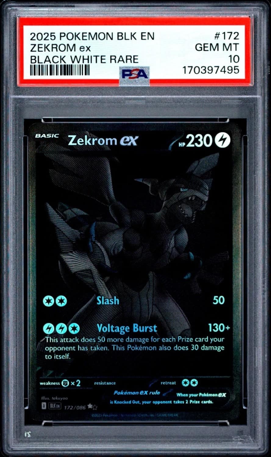 Zekrom Ex