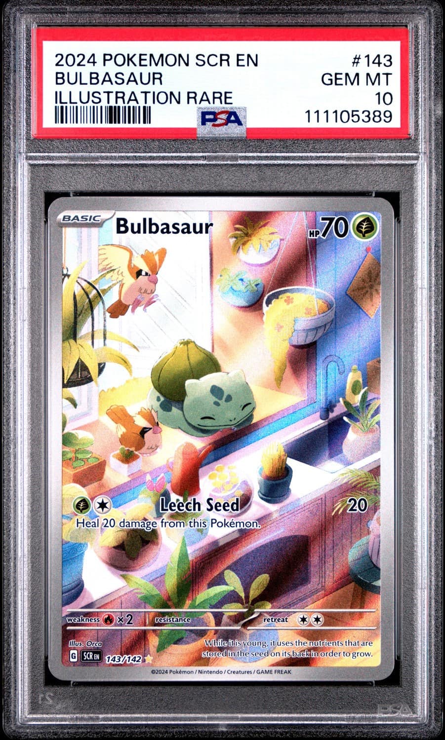 Bulbasaur