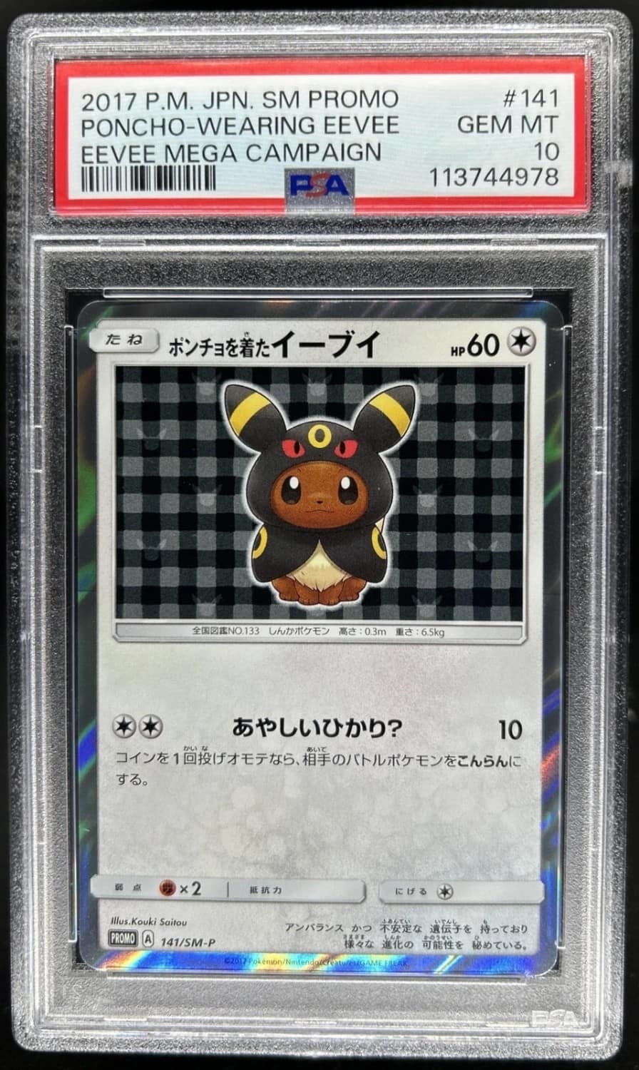 Poncho-Wearing Eevee