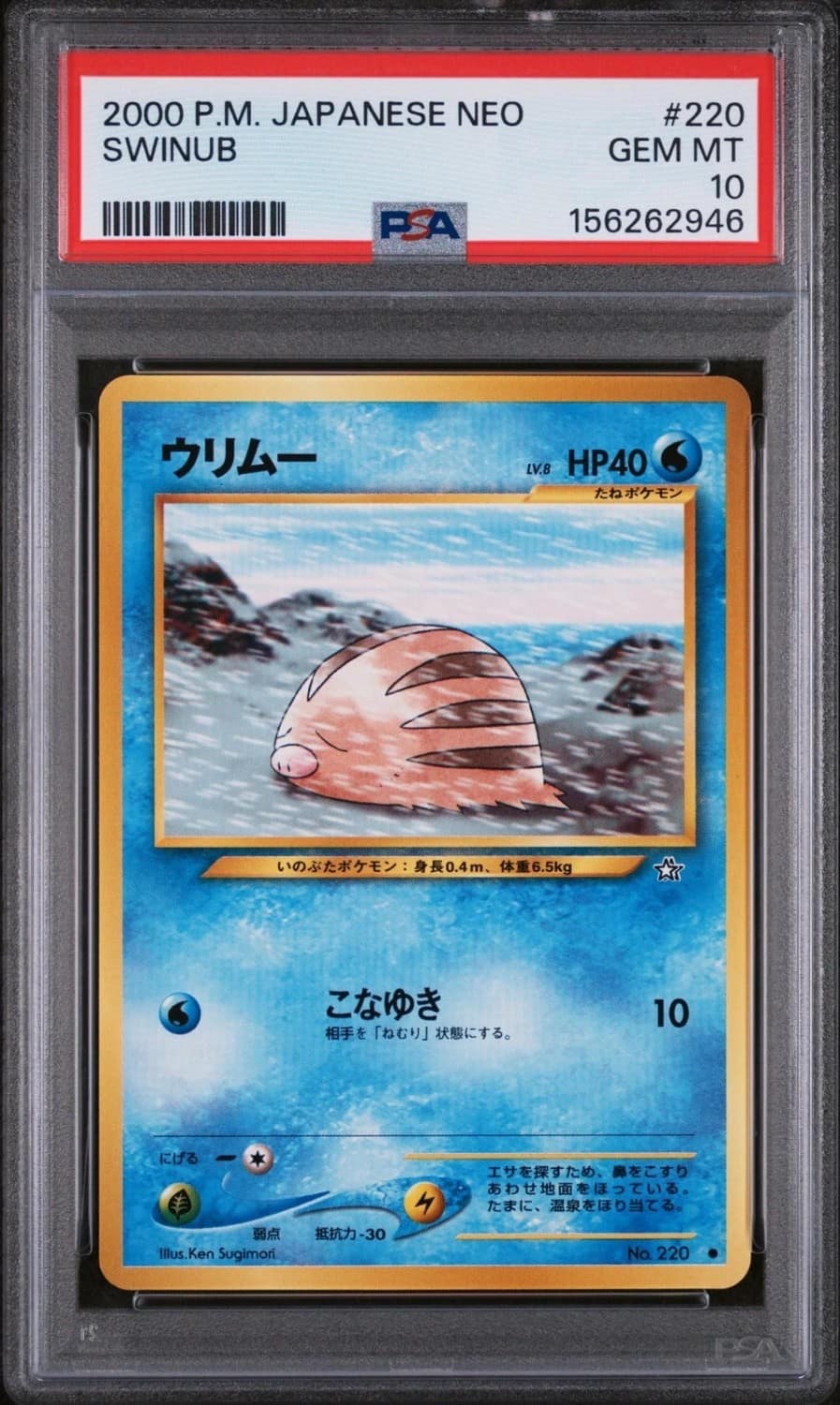 Swinub