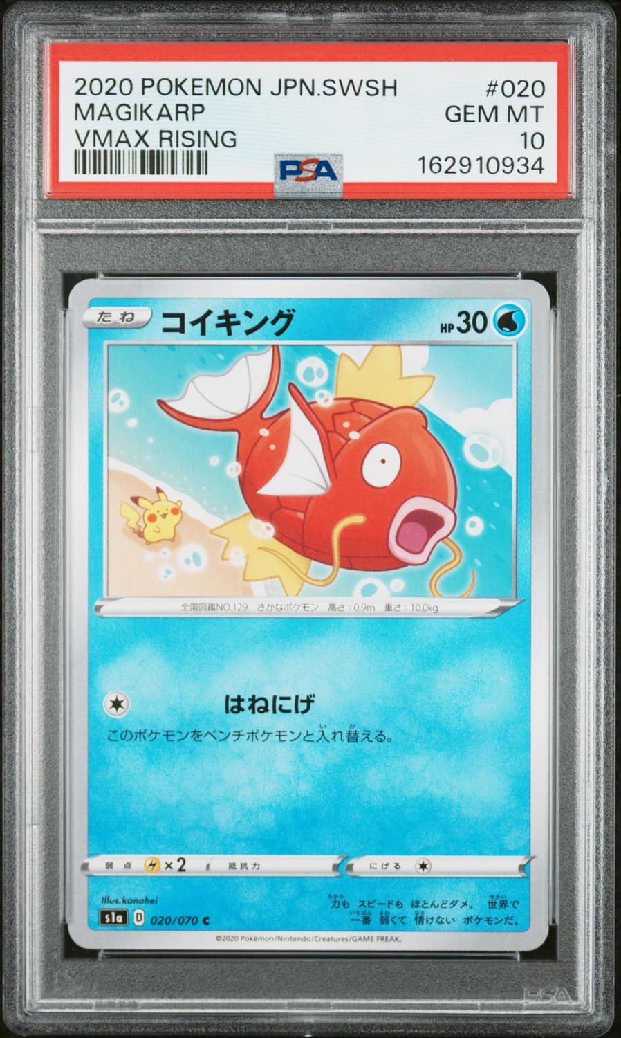Magikarp