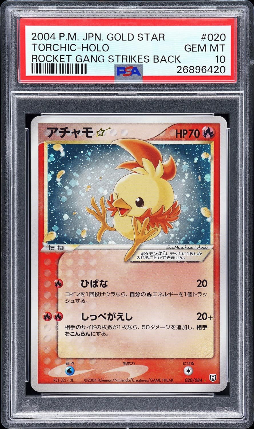 Torchic