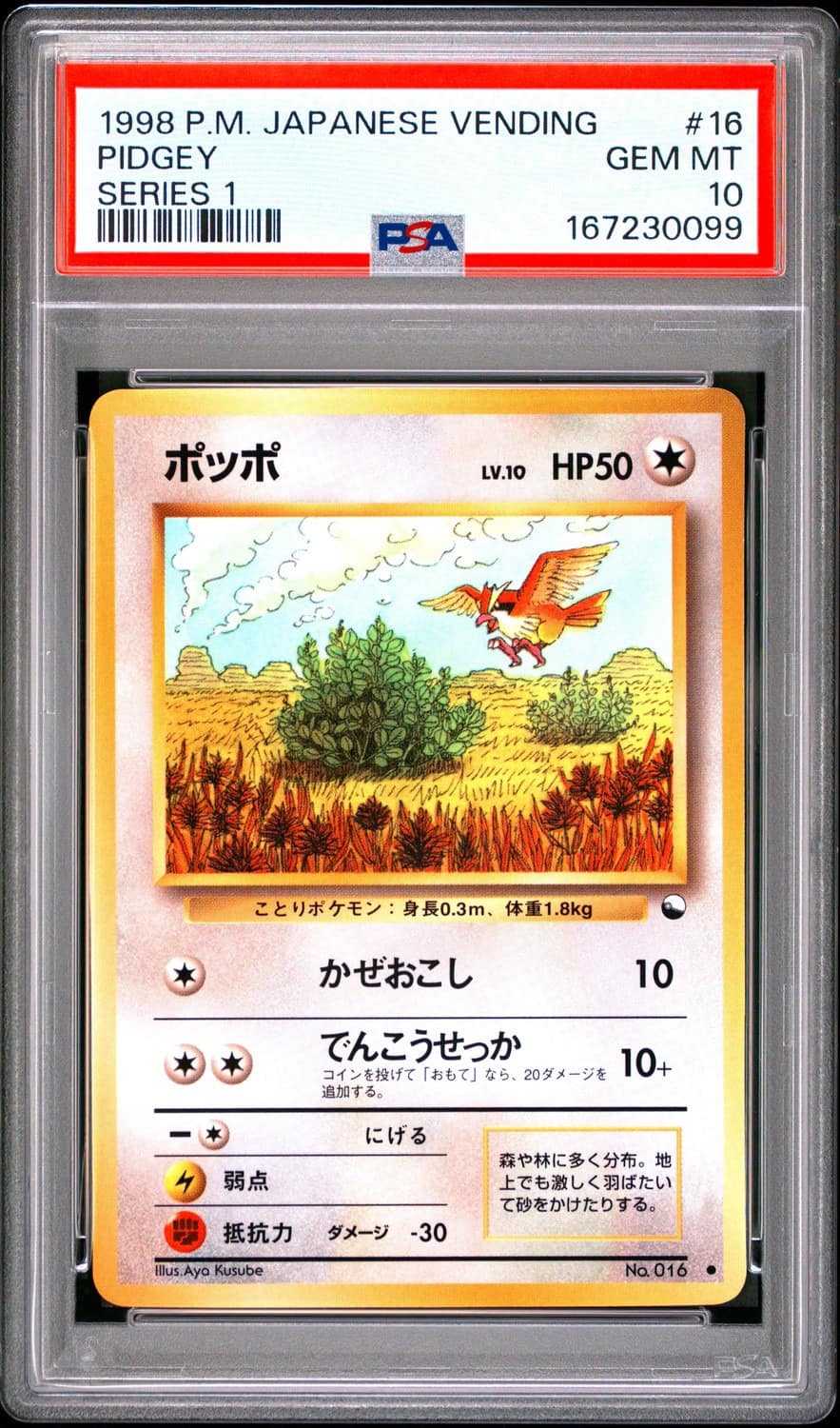Pidgey