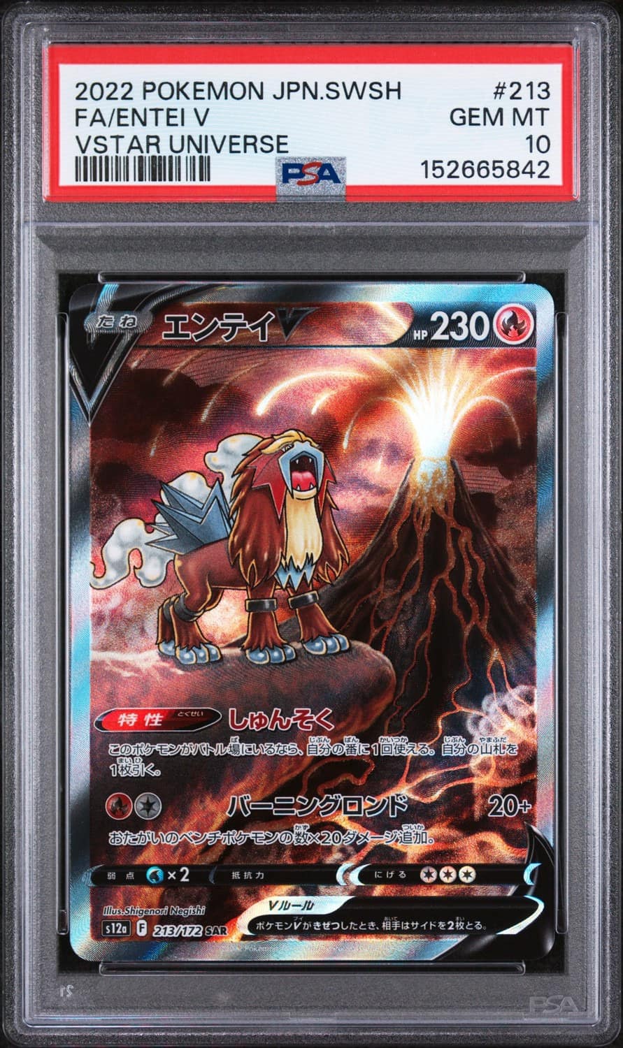 Entei V