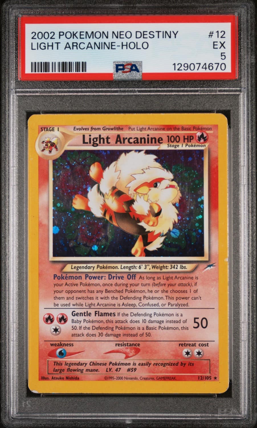 Light Arcanine