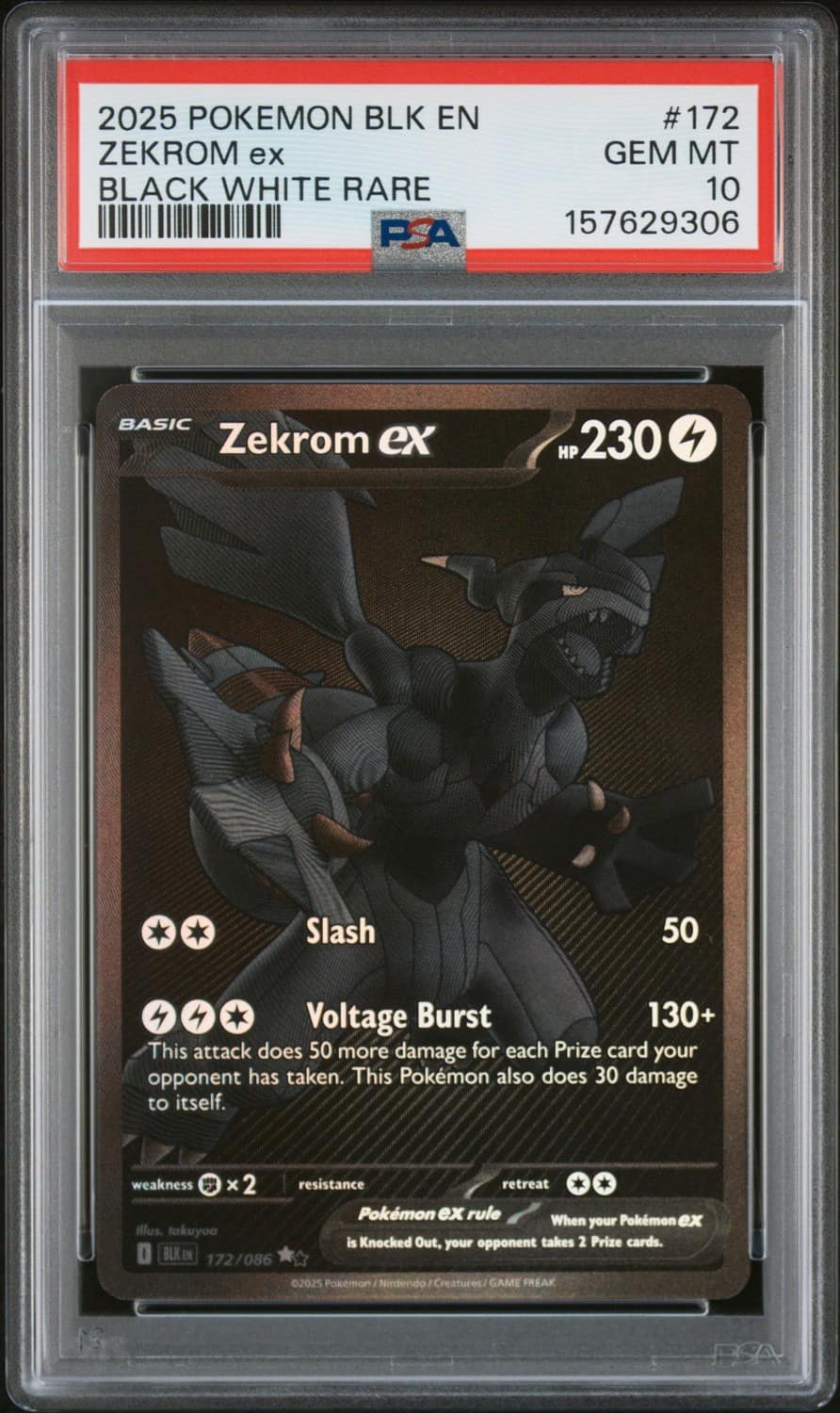 Zekrom Ex