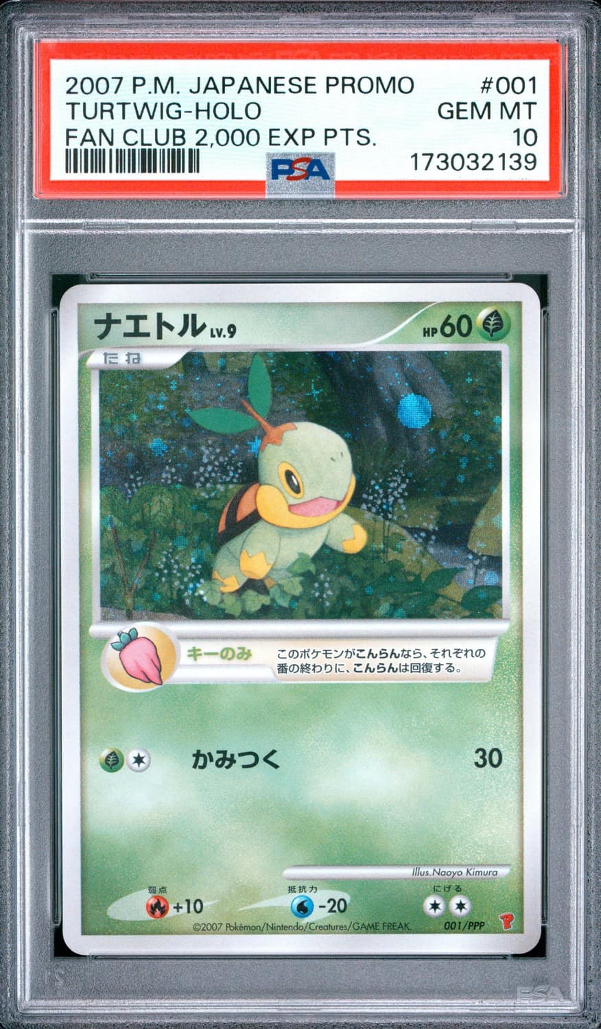 Turtwig