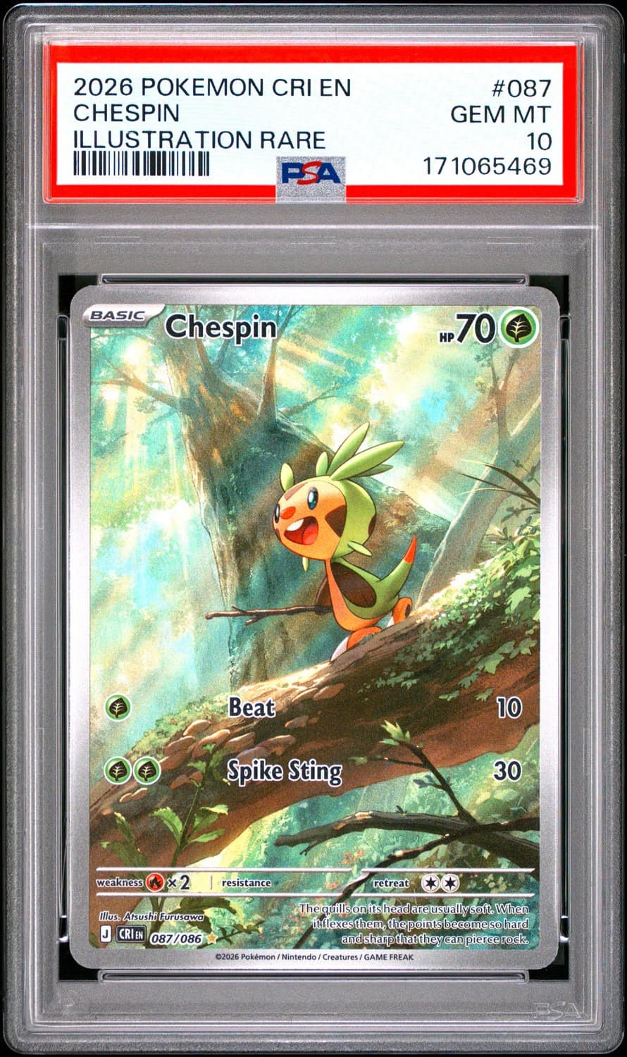 Chespin
