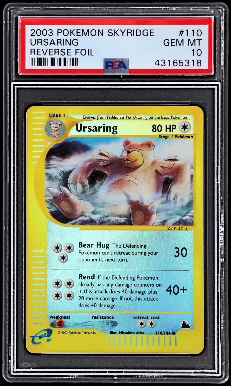 Ursaring