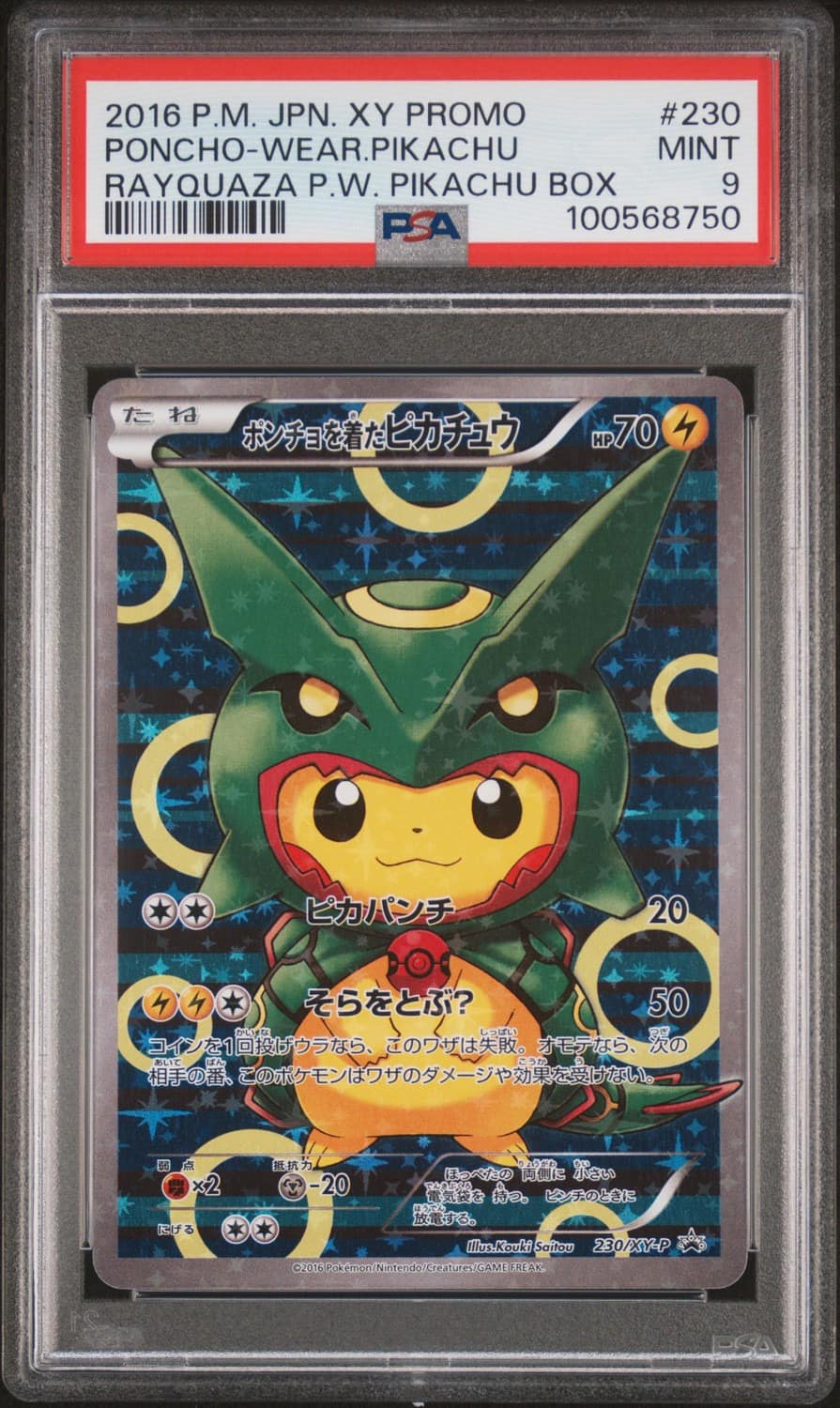 Poncho-Wearing Pikachu