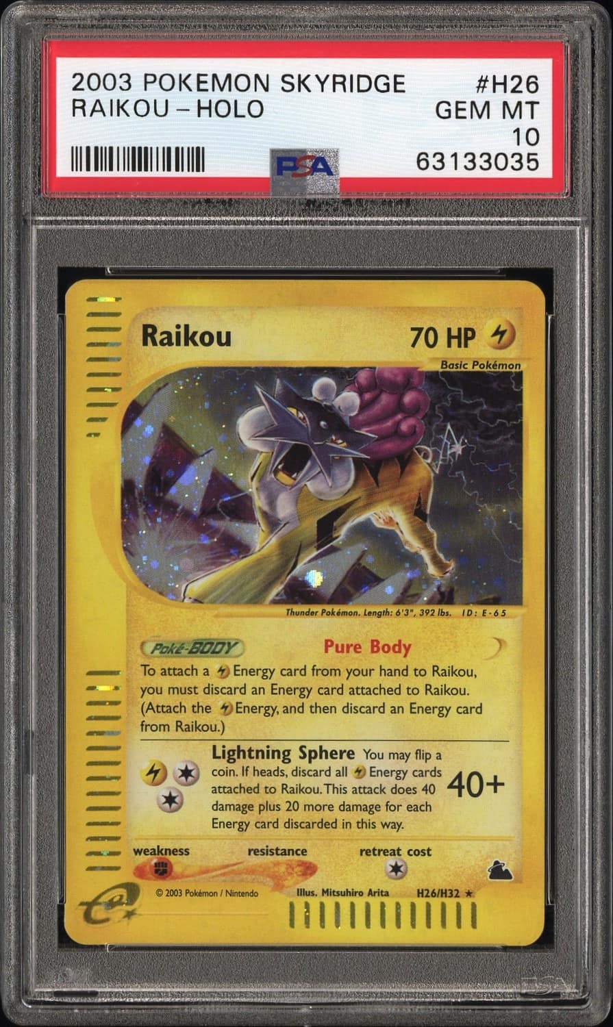 Raikou