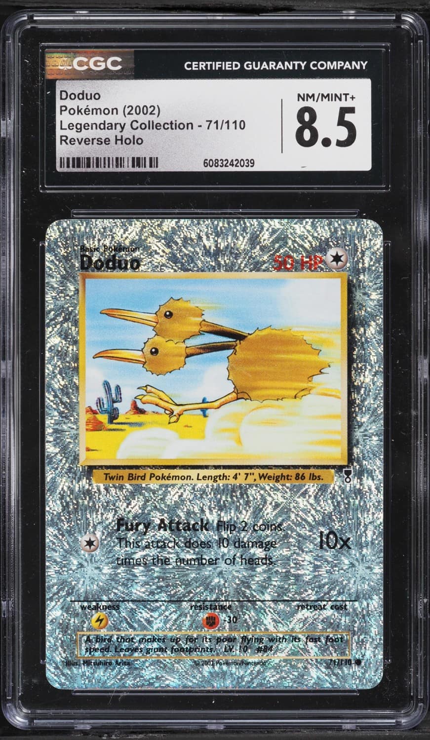 Doduo