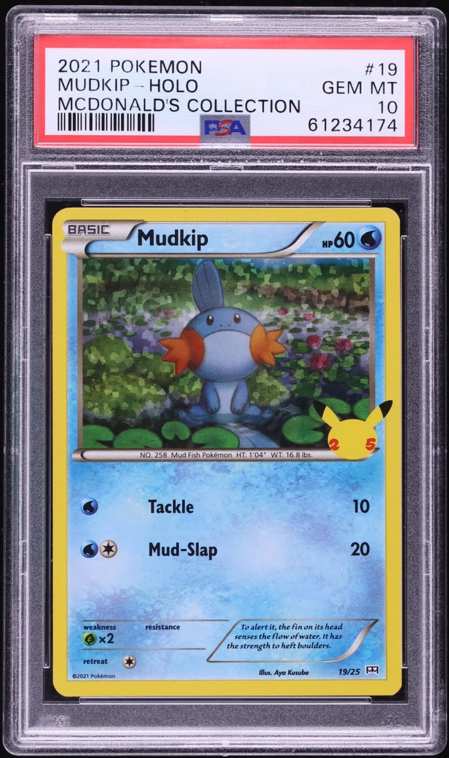 Mudkip