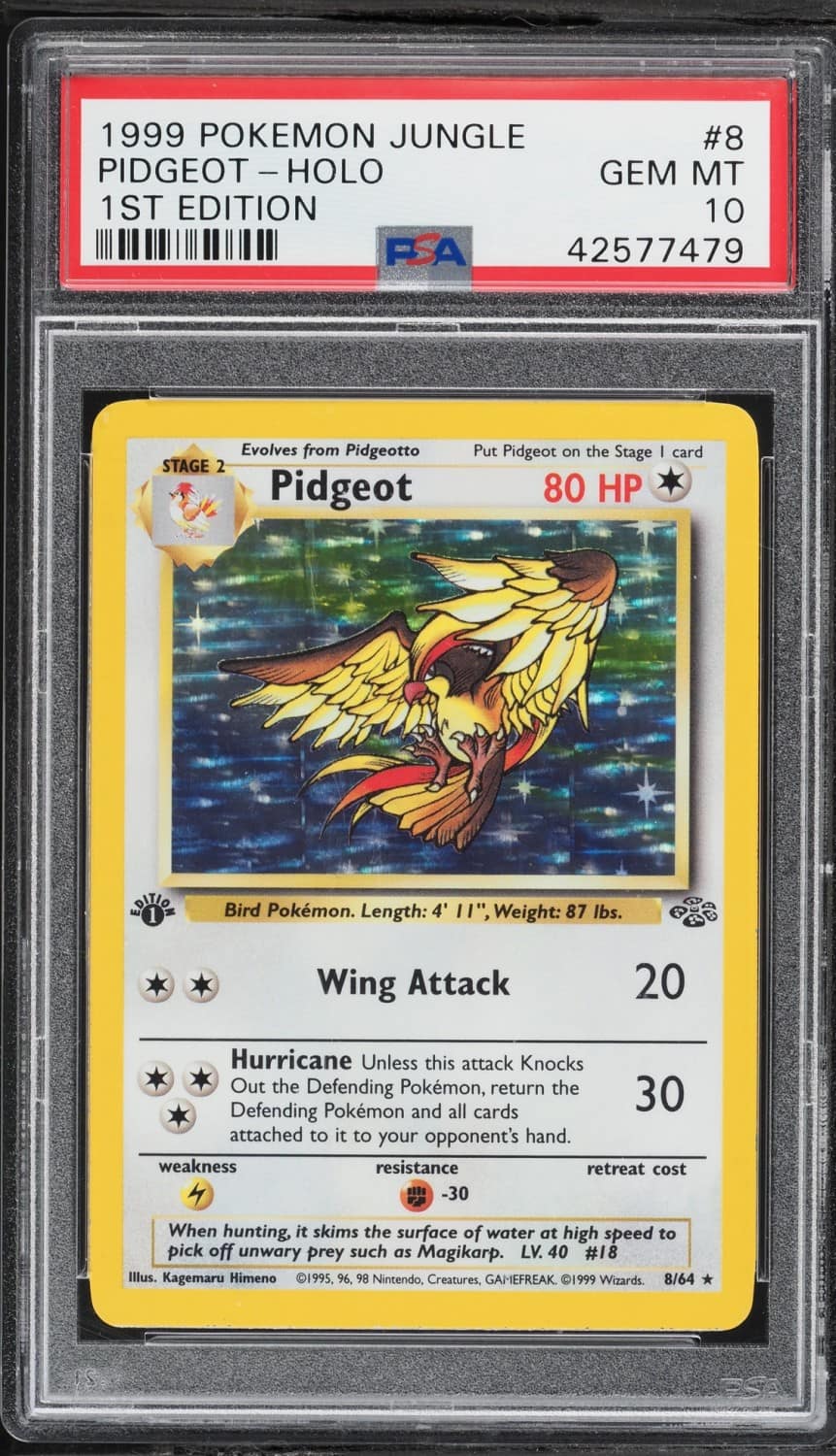 Pidgeot