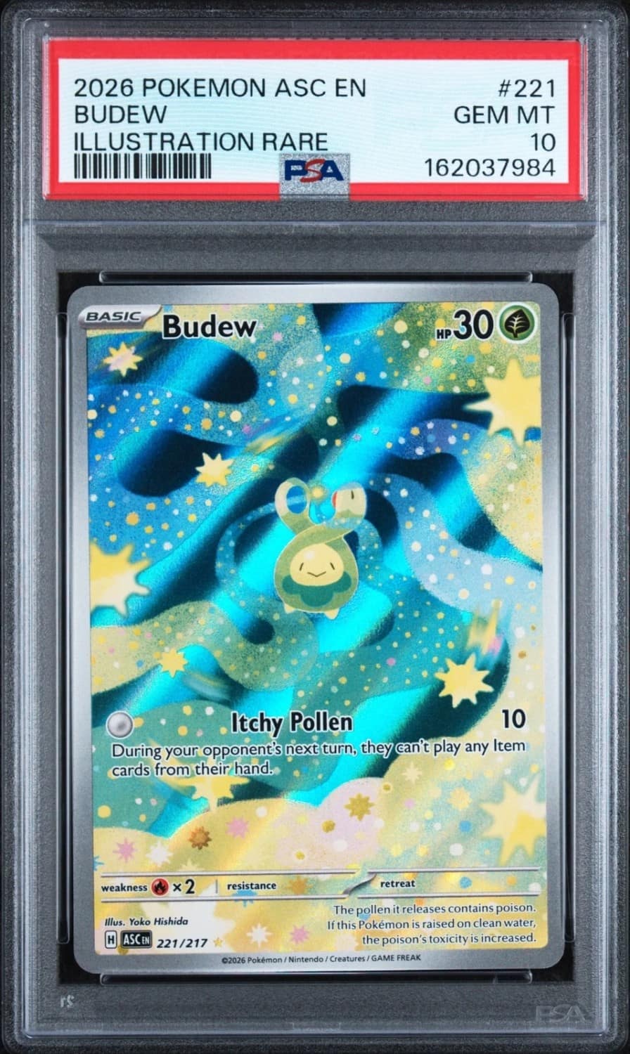 Budew