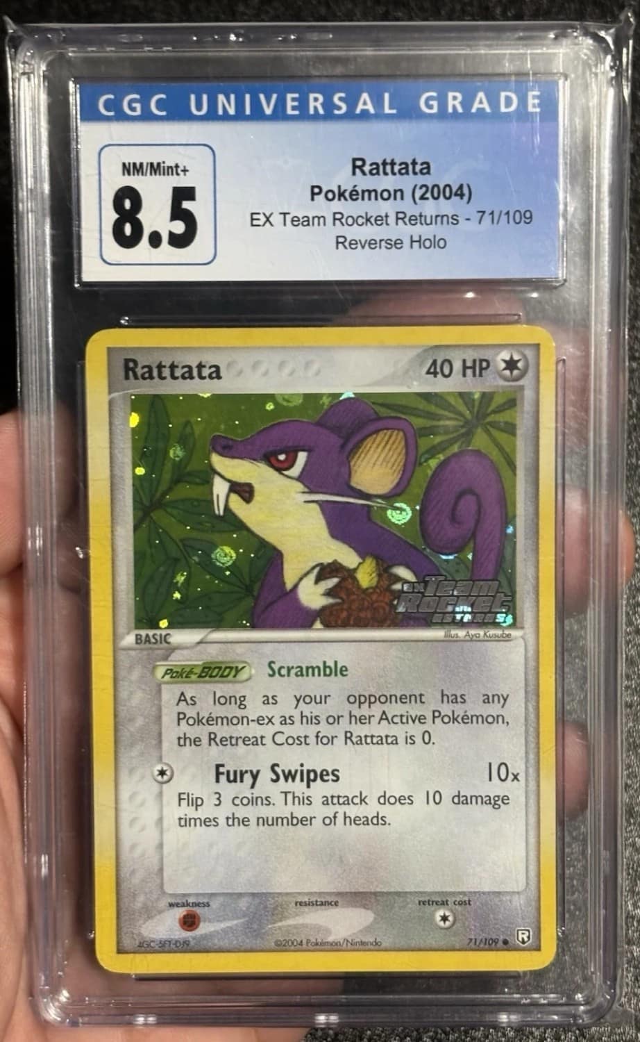 Rattata