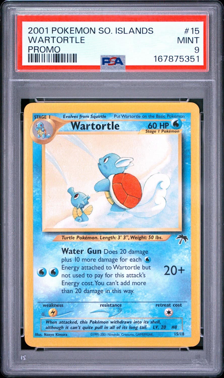 Wartortle