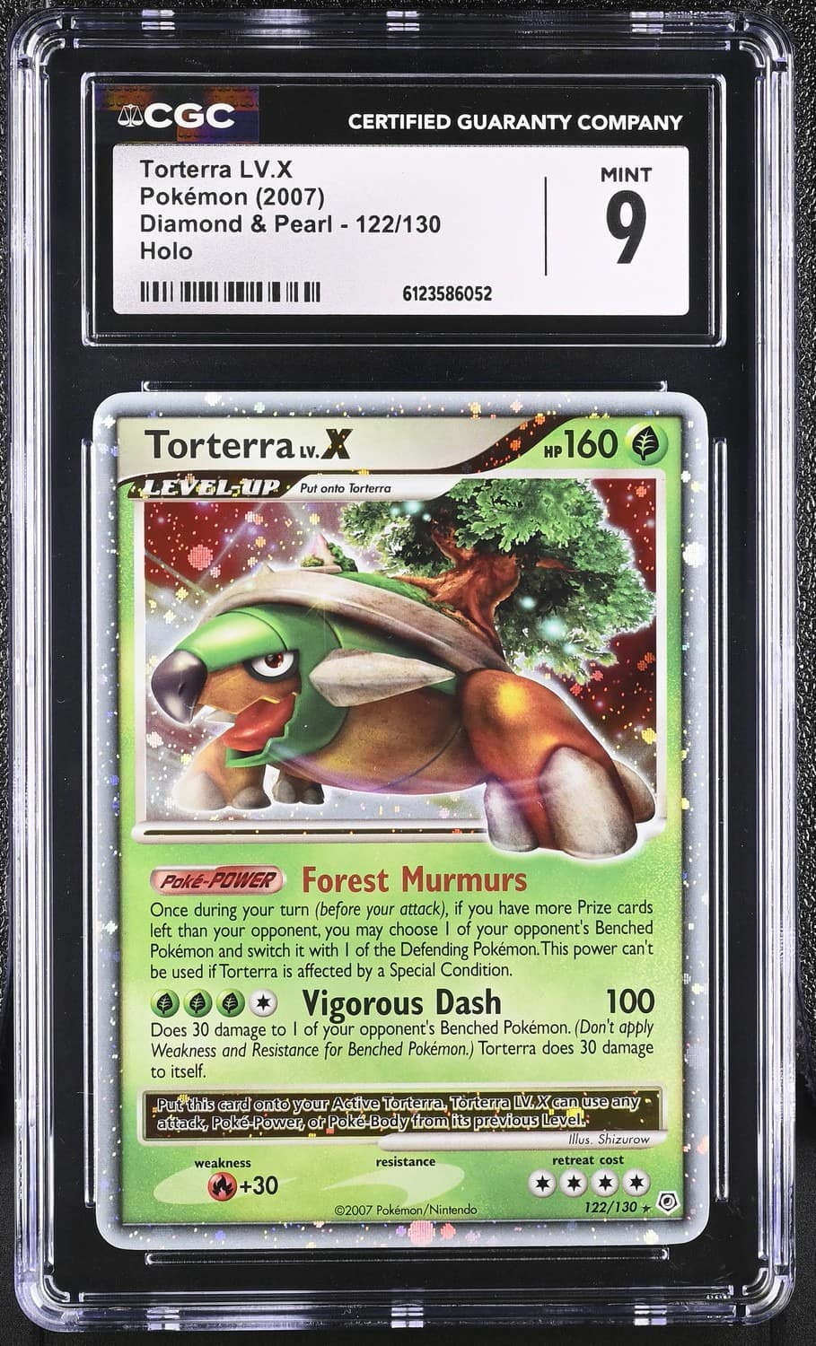 Torterra Lv X