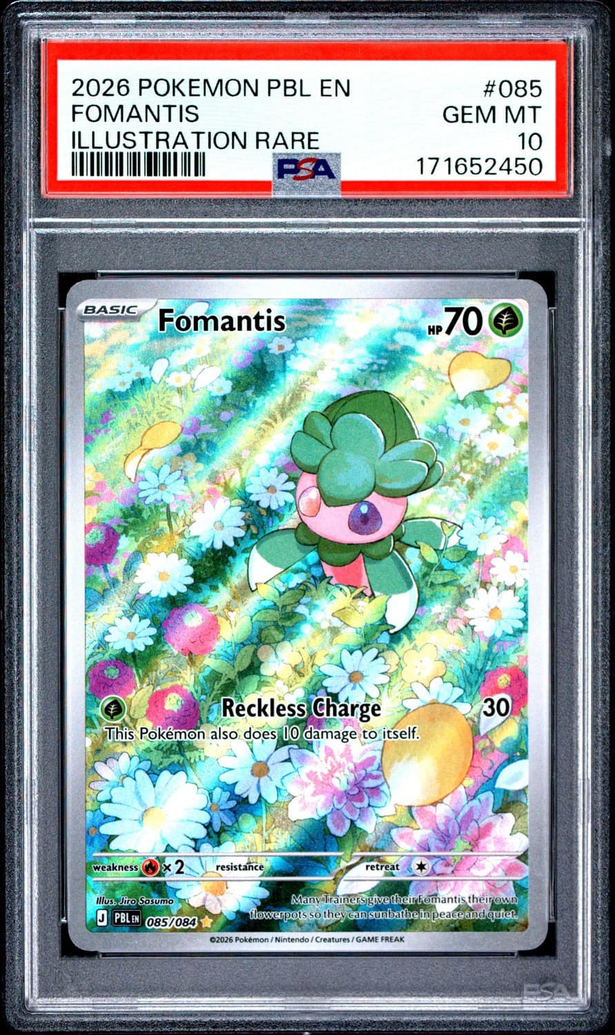 Fomantis