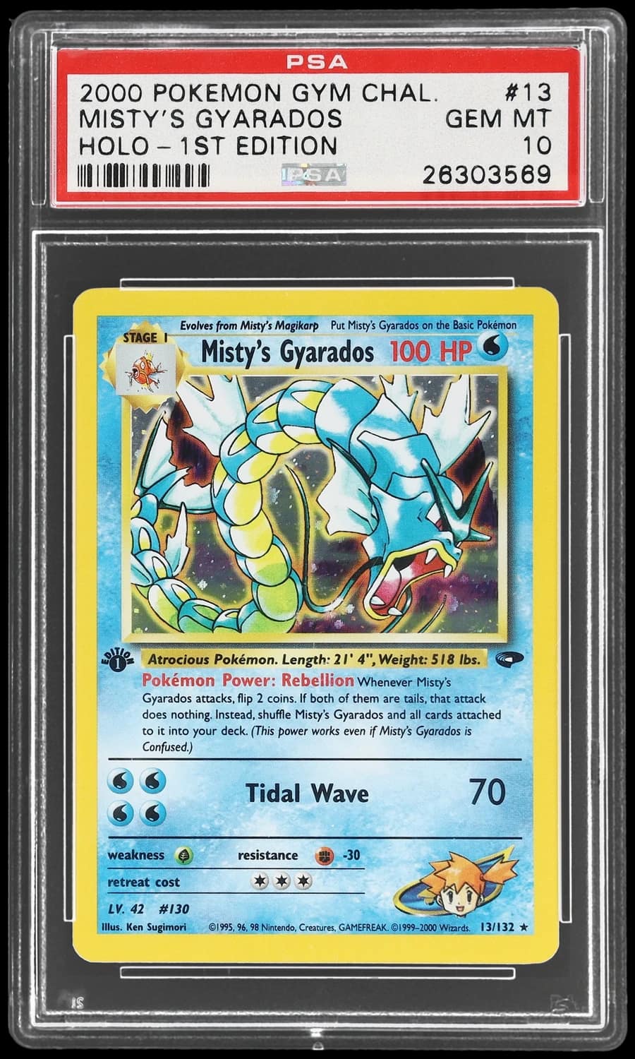 Misty'S Gyarados