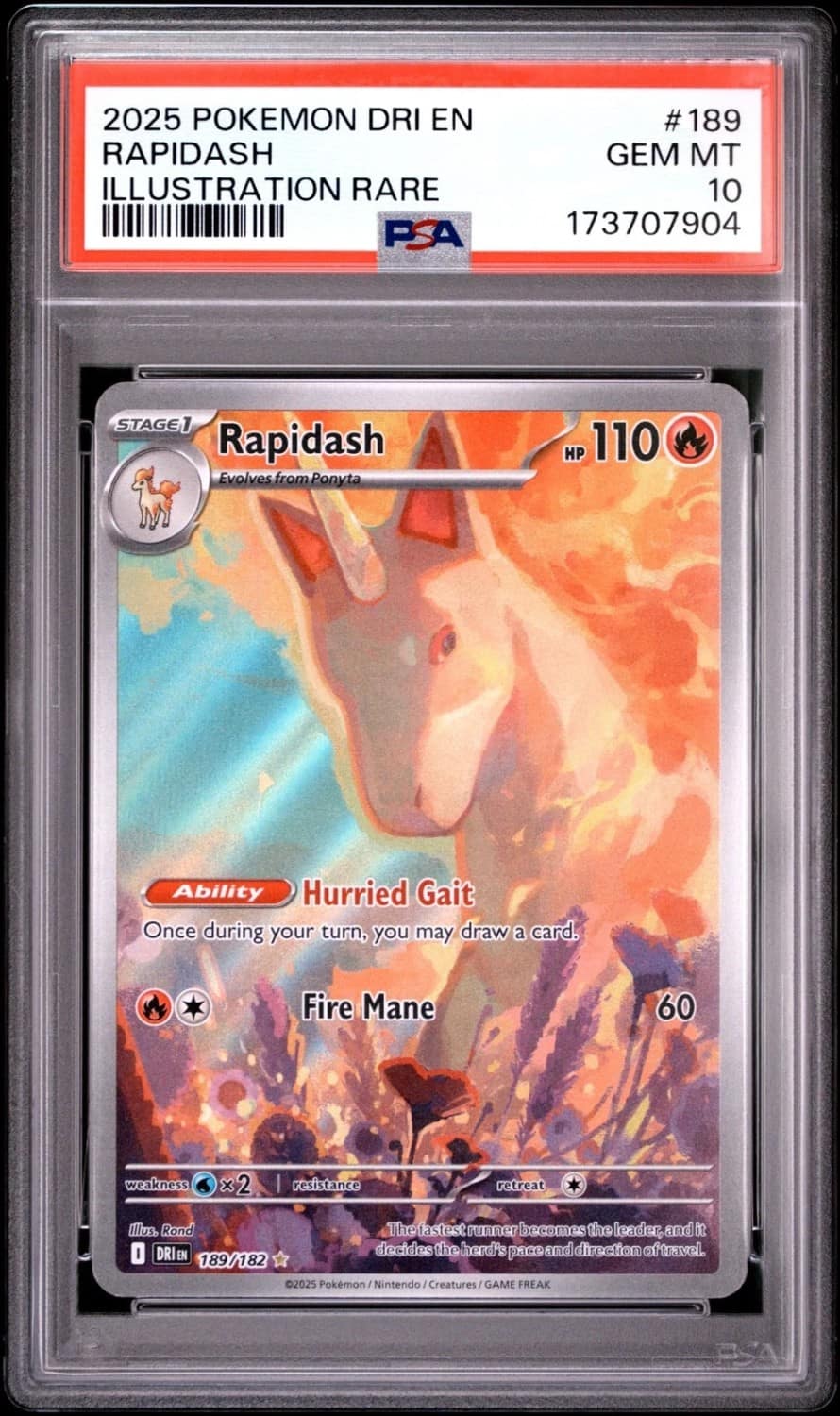 Rapidash
