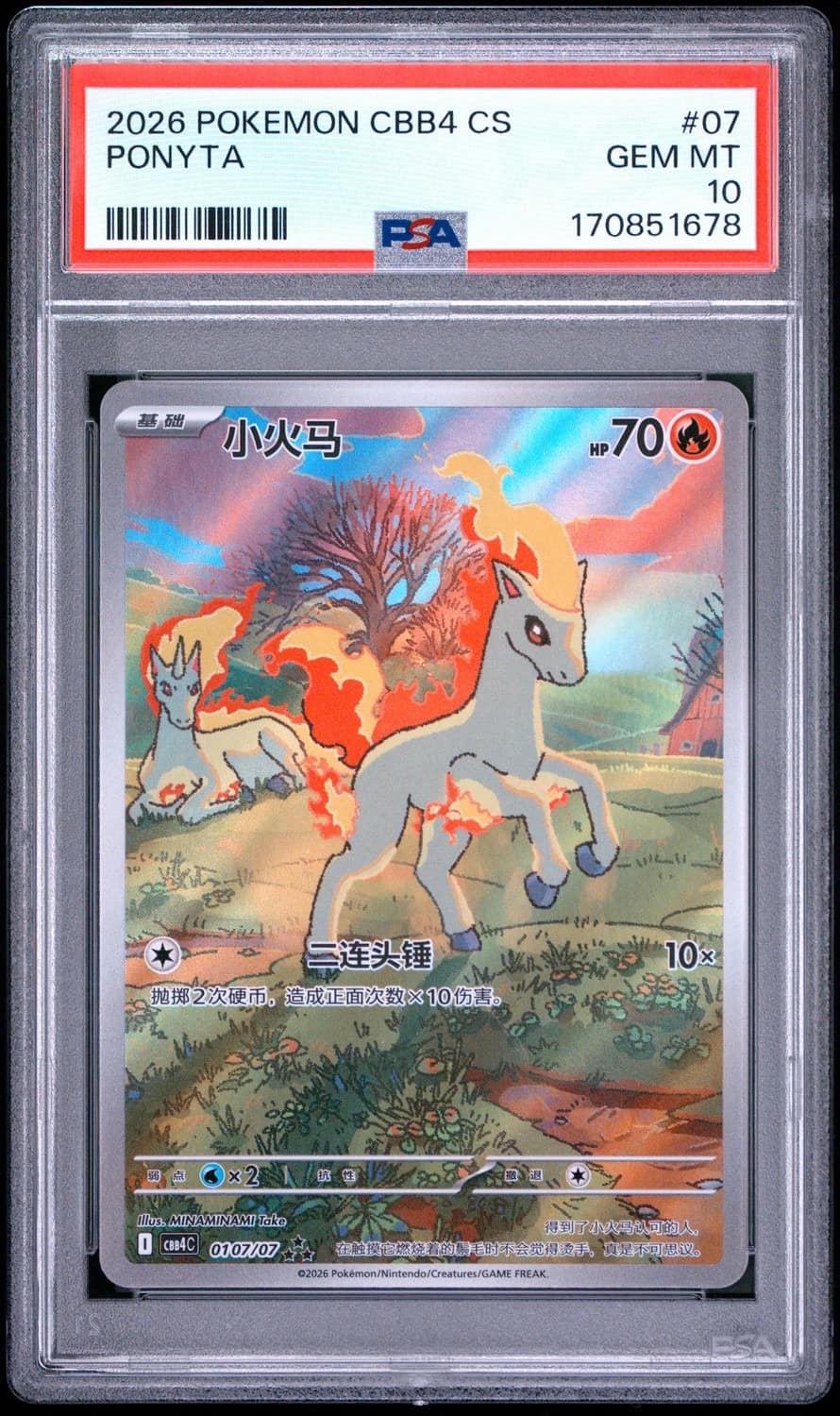 Ponyta