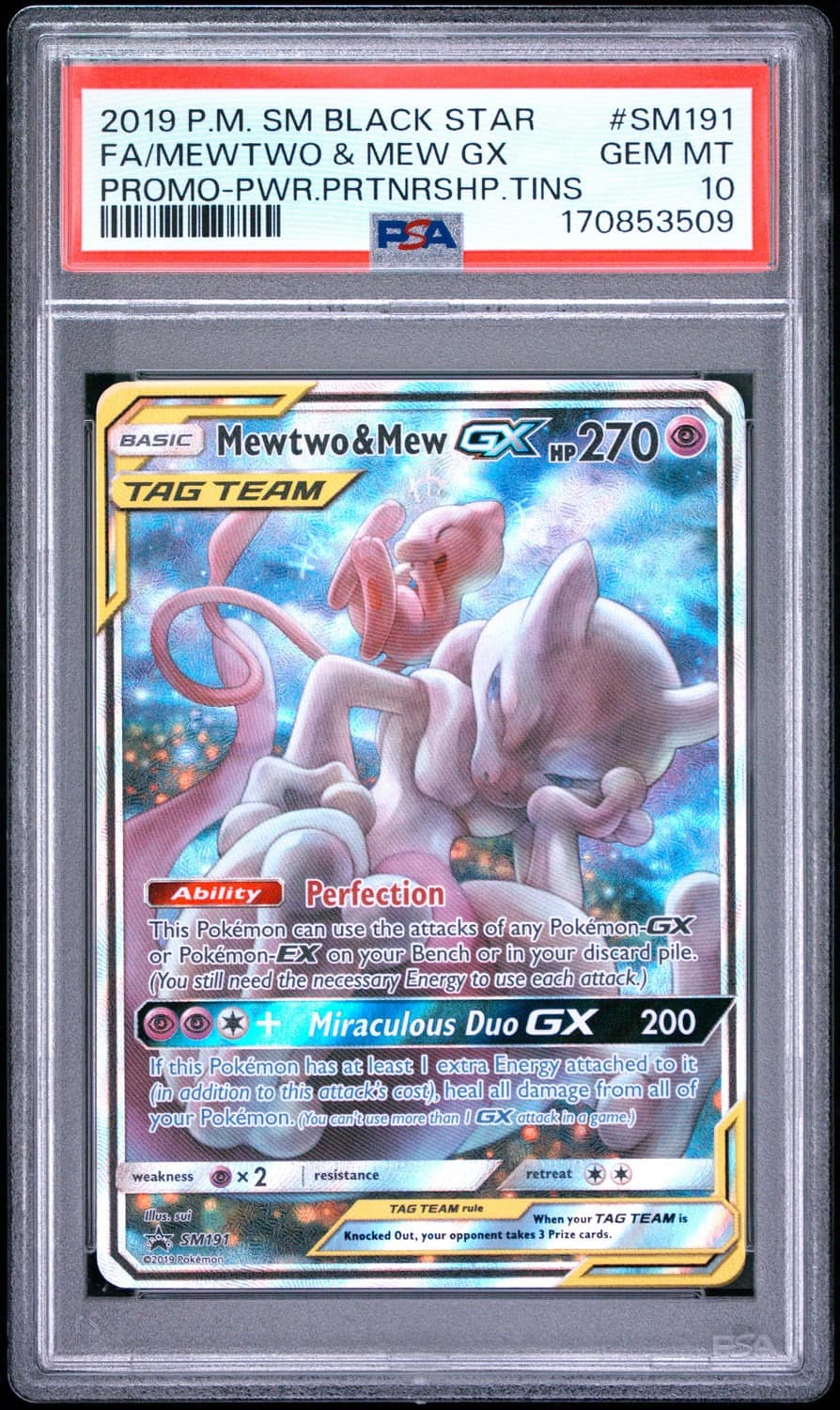 Mewtwo & Mew Gx