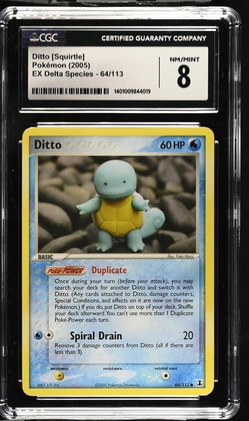 Ditto [squirtle]