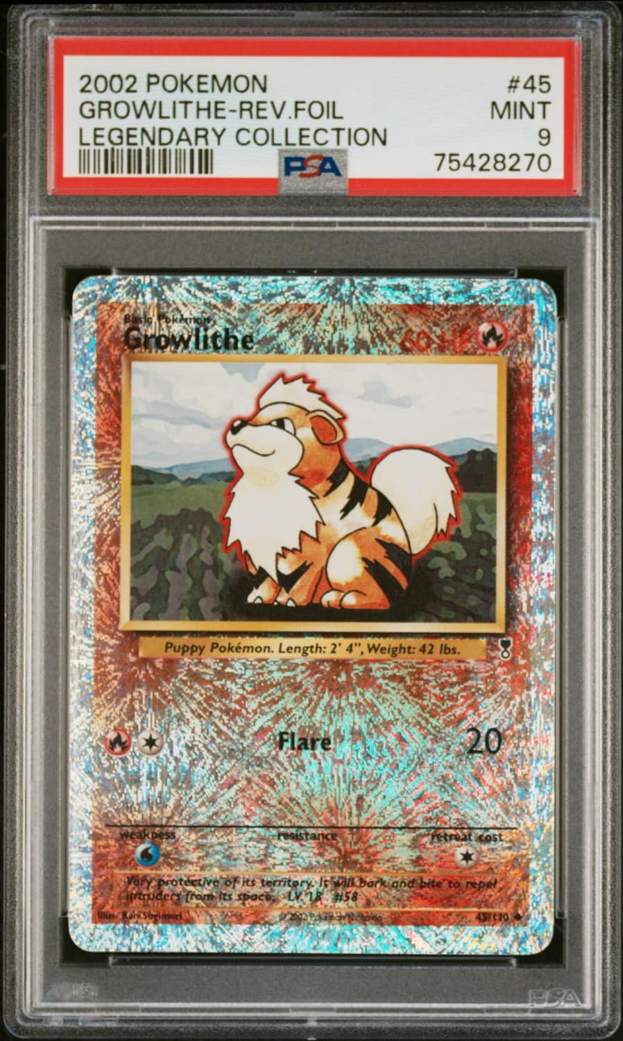 Growlithe